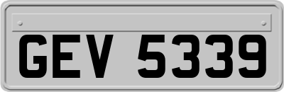 GEV5339