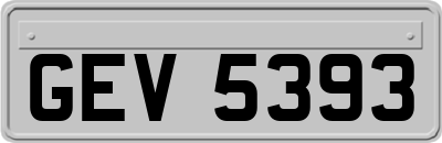 GEV5393