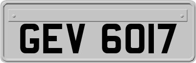 GEV6017
