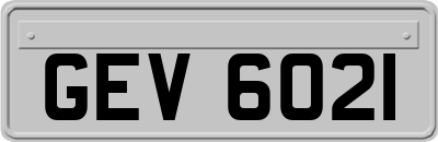 GEV6021