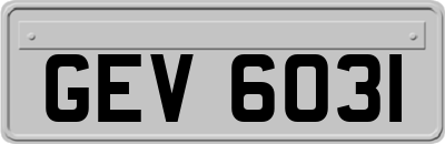 GEV6031