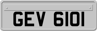 GEV6101