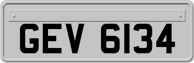 GEV6134