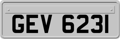 GEV6231