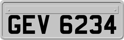 GEV6234