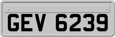 GEV6239