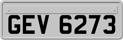 GEV6273