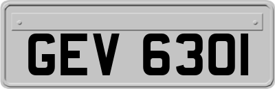 GEV6301
