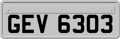 GEV6303