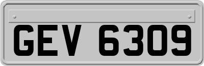 GEV6309