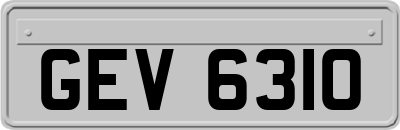 GEV6310