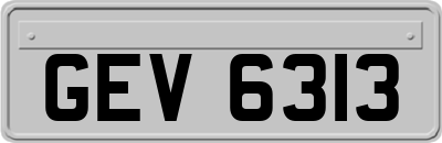 GEV6313