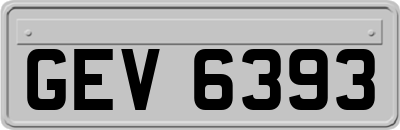 GEV6393