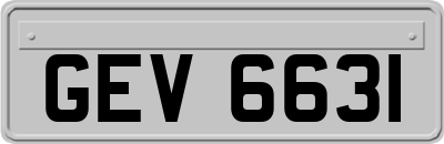 GEV6631
