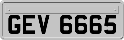 GEV6665