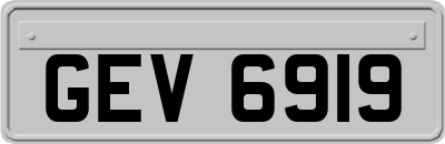 GEV6919