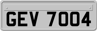GEV7004