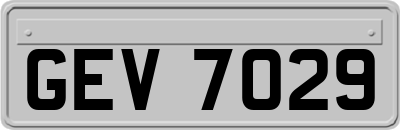 GEV7029