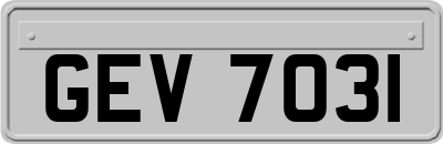 GEV7031