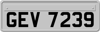 GEV7239