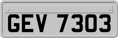 GEV7303