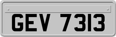 GEV7313