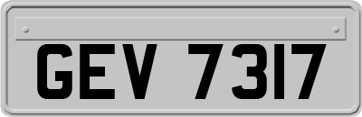 GEV7317