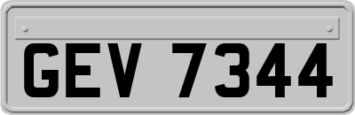 GEV7344