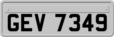 GEV7349