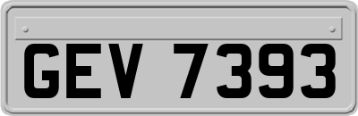 GEV7393