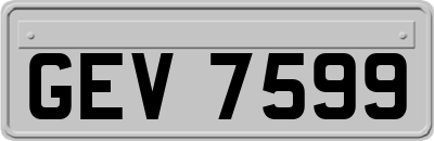 GEV7599