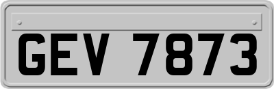 GEV7873