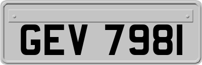 GEV7981