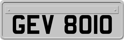 GEV8010