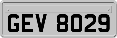 GEV8029