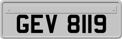 GEV8119