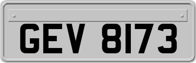 GEV8173