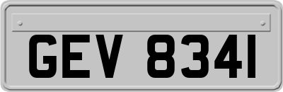 GEV8341