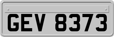 GEV8373