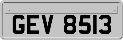 GEV8513