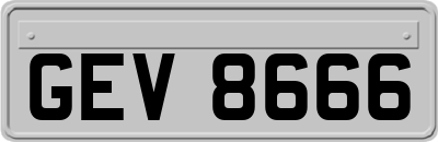 GEV8666