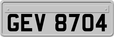 GEV8704