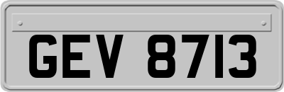 GEV8713