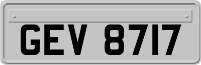 GEV8717