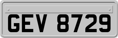 GEV8729