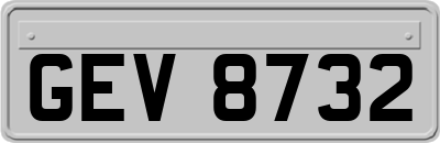 GEV8732