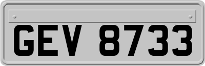 GEV8733