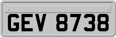 GEV8738