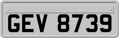 GEV8739