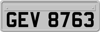 GEV8763